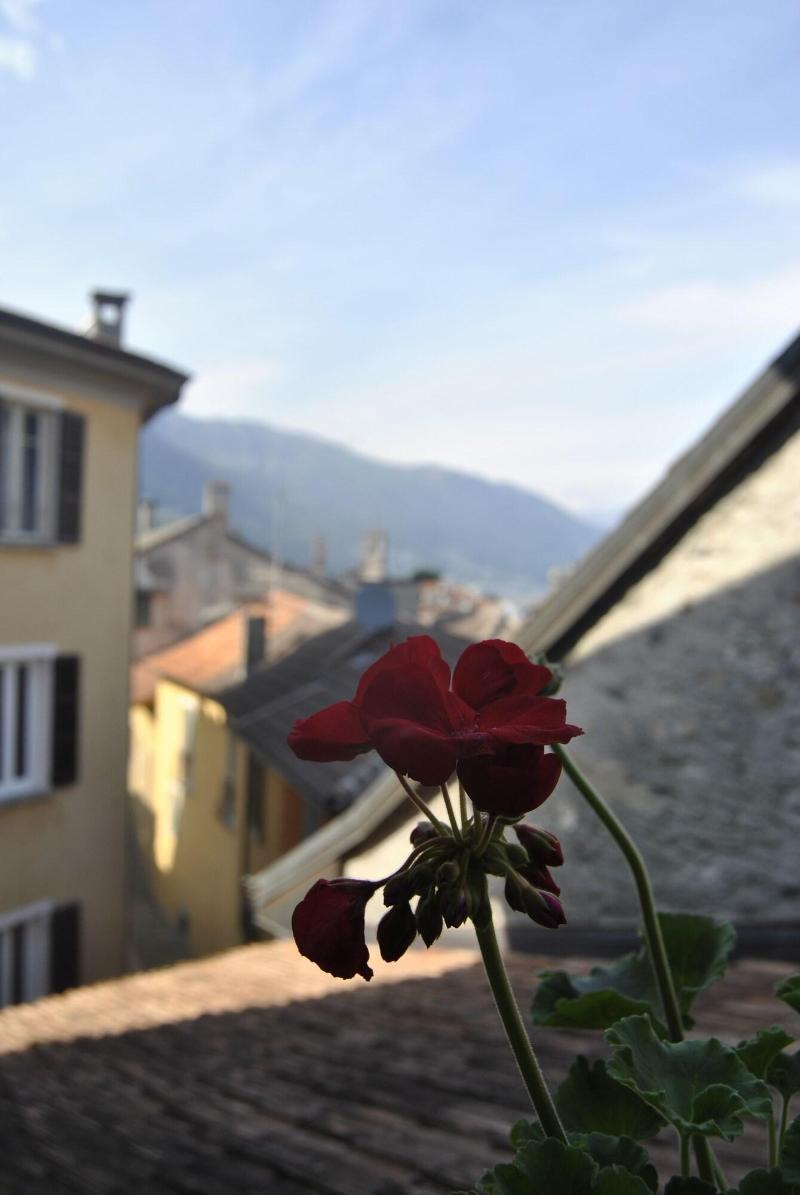 Hotel Pironi Cannobio